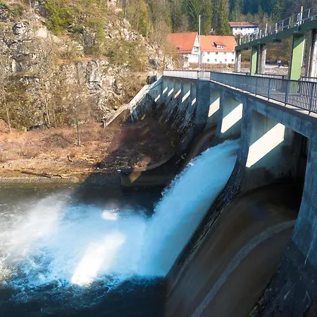 Nr 10a2, Hagbuegerl, Bayr Wald *