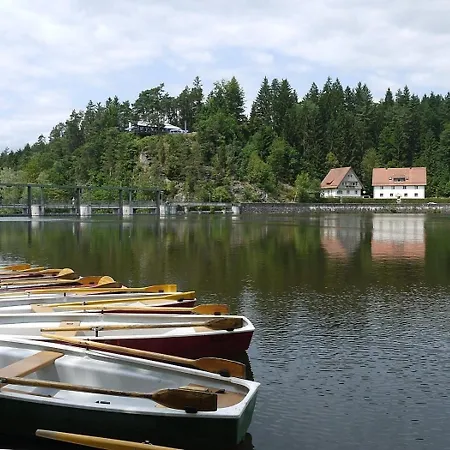 Feriehus Nr 10a2, Hagbuegerl, Bayr Wald *