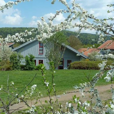 Feriehus Nr 10a2, Hagbuegerl, Bayr Wald