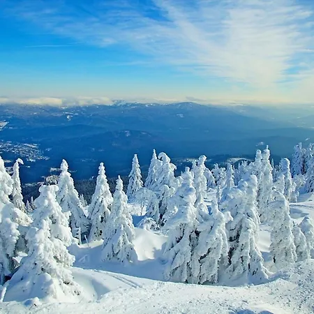 Prázdninový dům Nr 10a2, Hagbuegerl, Bayr Wald Waldmünchen