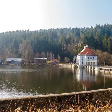 Prázdninový dům Nr 10a2, Hagbuegerl, Bayr Wald *