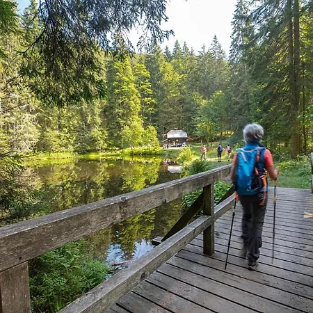 Prázdninový dům Nr 10a2, Hagbuegerl, Bayr Wald