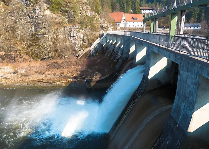 Nr 10a2, Hagbuegerl, Bayr Wald *