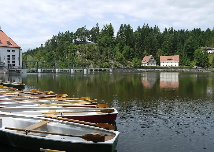 Dom wakacyjny Nr 10a2, Hagbuegerl, Bayr Wald *