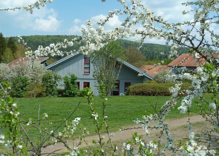 Dom wakacyjny Nr 10a2, Hagbuegerl, Bayr Wald
